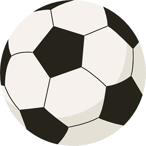 荷兰教练的 荷兰教练的