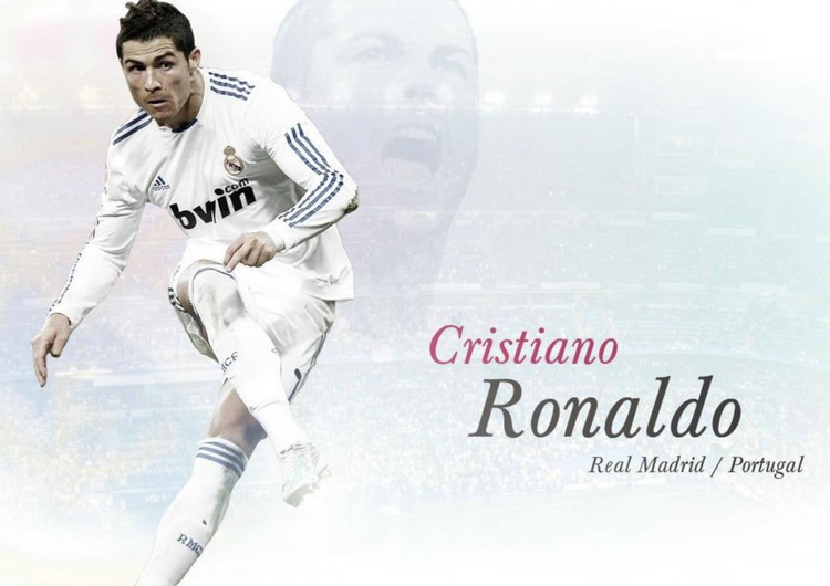 体育赛事 体育赛事