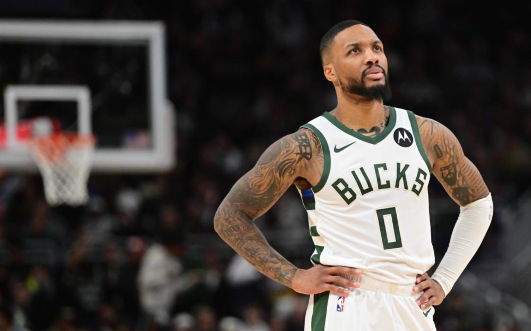 不仅提出了 不仅提出了